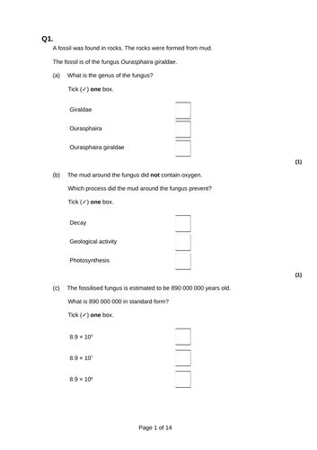 Image result for Classification Worksheet TES KS2