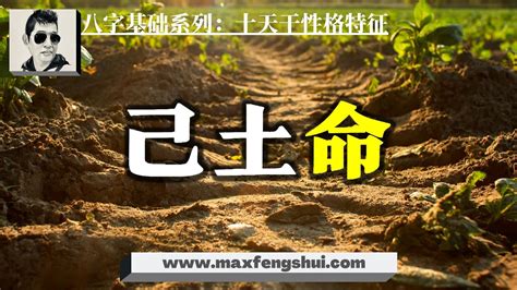 【字幕】2022壬寅年，土命多美女靓仔，自带颜值，明星潜质，以巧致富，与何人合作能发财｜八字命理基础系列：十天干性格特征 己土篇