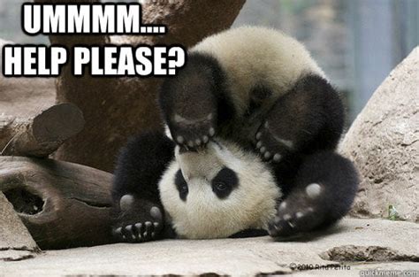 Image result for Help Is Coming Meme