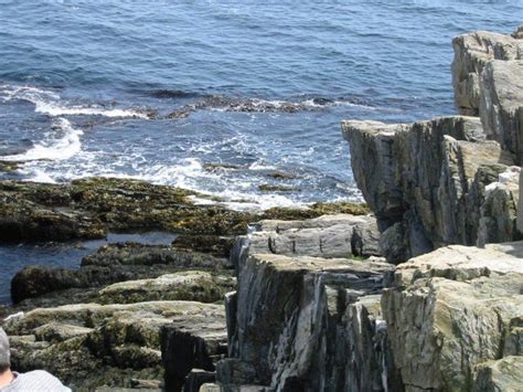 Bailey Campground Maine: Book Your Maine Camping Trip