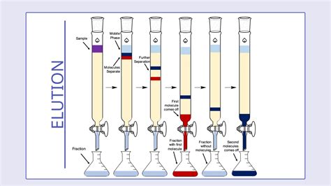 Image result for Column Chromatography Graph
