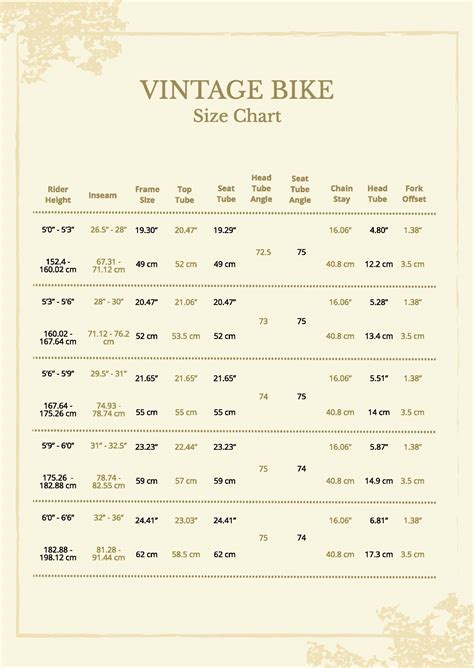 Vintage Bike Size Chart in PDF - Download | Template.net