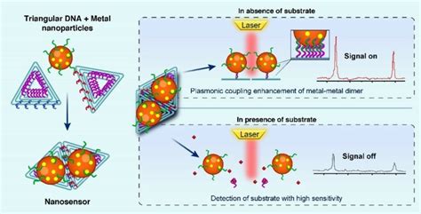 Image result for Contoh Graphical Abstract
