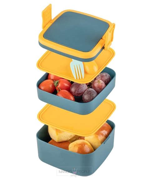 Leak Proof Plastic Lunch Box with Compartments – Mango People