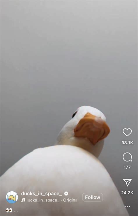 Image result for Best Instagram Algorithm Tips