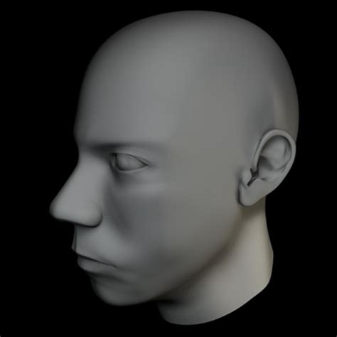 Maya Human Head 的图像结果