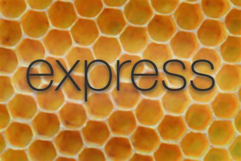 Image result for Express JS Projects