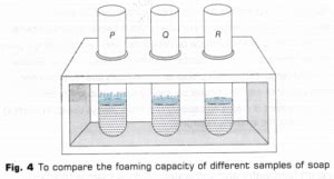 Foaming Capacity of Soaps Chemistry Investigatory Project PDF ...