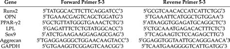 Image result for PCR Primer Example