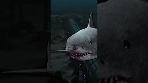 Jaws 3 Exploding Shark 的图像结果