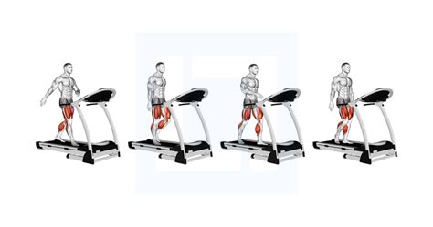 Image result for Frog Lift Exercise