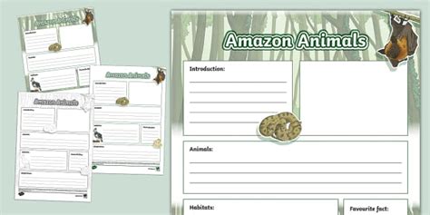 Amazon Animals Non-Chronological Report Template - Twinkl
