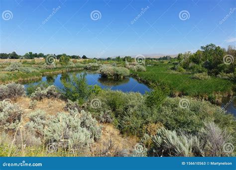 Hyatt Hidden Lakes Reserve, Boise, Idaho Stock Image - Image of hyatt ...
