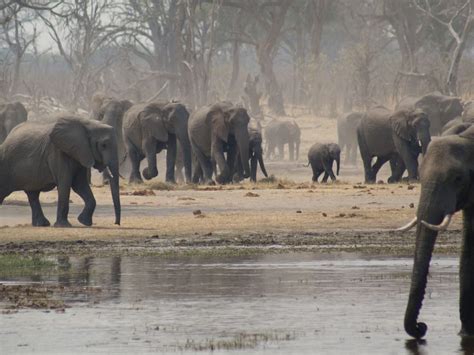 The best time to visit your favourite wildlife spots