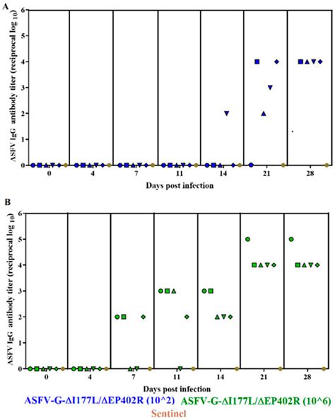 Deletion of the EP402R Gene from the Genome of African Swine Fever ...