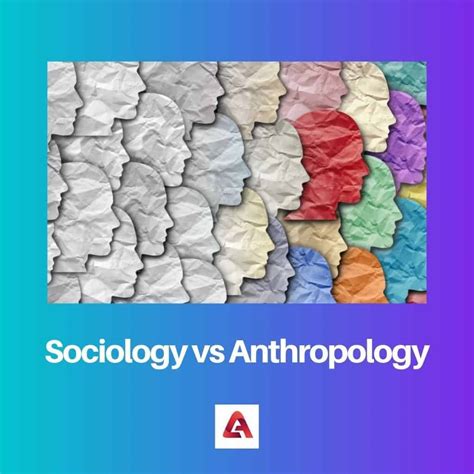 Sociology vs Anthropology: Difference and Comparison