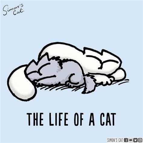 Image result for Simons Cat