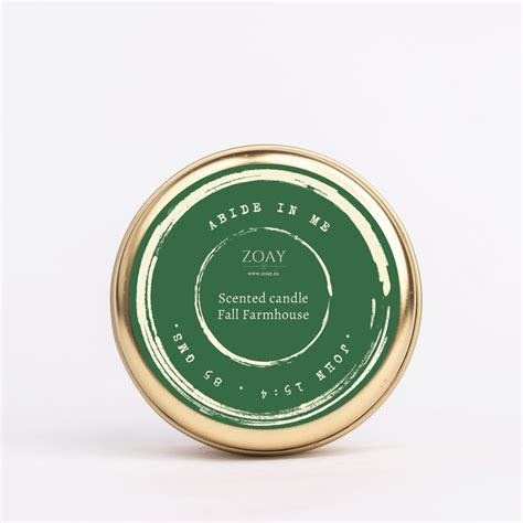 ABIDE in me - John 15:4 – zoaylifestore