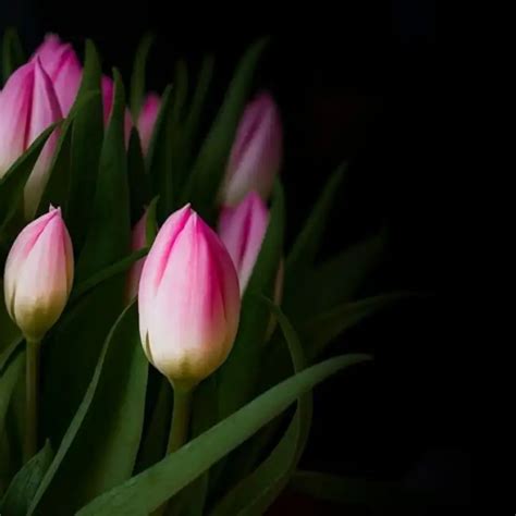 | Quotes & Writings by Aesthetic Thoughts | YourQuote