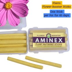 Seeds Combo packs for Home gardening