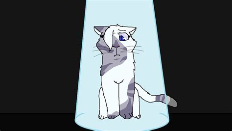 Image result for Beautiful Ivypool Map