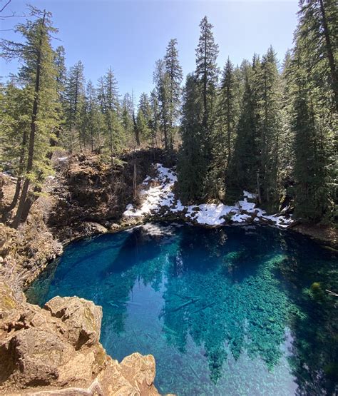 Blue Pool Mckenzie River Trail Tamolitch Blue Pool Hike In Central