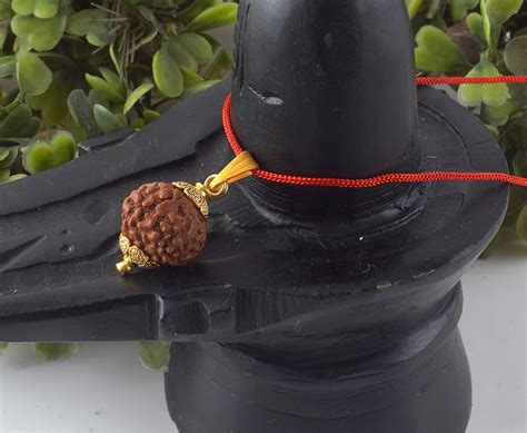 Admier Creations-Best 2 Mukhi Nepali Rudraksha Gold Pendant Suppliers ...