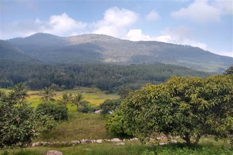 Enchanting hill stations to explore near Chennai | Times of India Travel