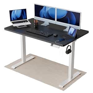 Intellidesk Eco Dual Electric Height Adjustable Standing Desk with Dual ...