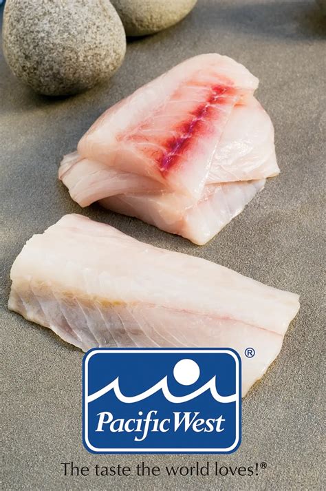 Image result for Pacific Snapper