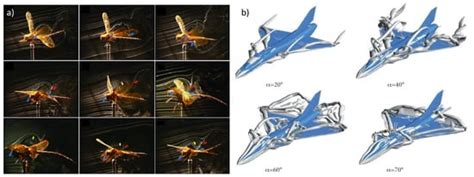 Data-Driven Sparse Sensor Placement Optimization on Wings for Flight-By ...