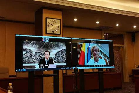 全国人大外事委员会副主任委员王超与罗马尼亚 众议院外委会主席比罗举行视频会议_中国人大网