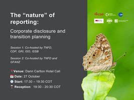 ISO Reporting Method 的图像结果