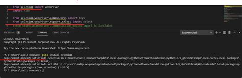 Selenium vs Code 的图像结果