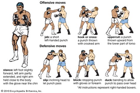 Image result for Basic Boxing Form