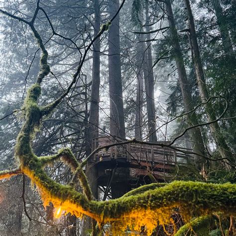 TREEHOUSE POINT (Issaquah) - B&B Reviews & Photos - Tripadvisor