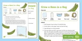 Making Butter In The Classroom - Experiment and Prompt Card