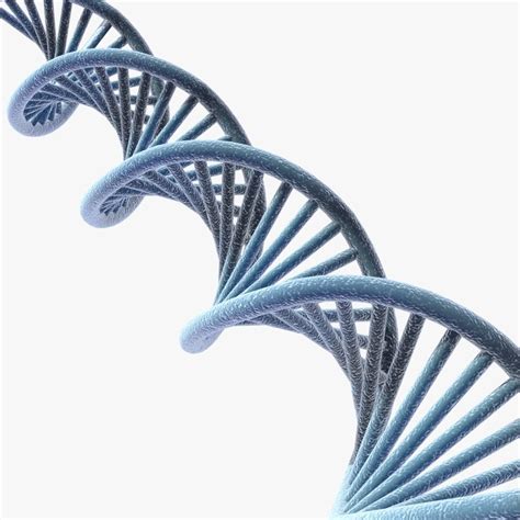 DNA 3D model - Download Free 3D models