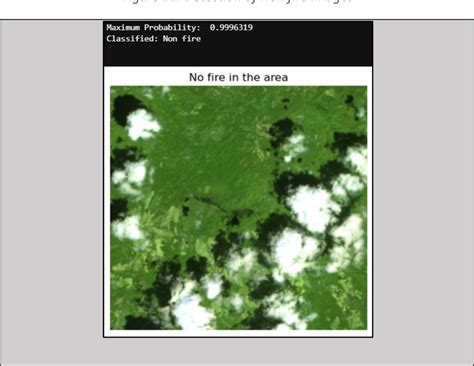 Image result for Modeling Forest Fire Using Maxent