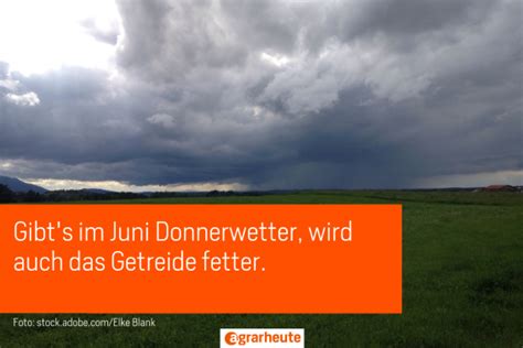 Das ungewöhnliche Frühjahr 2021: Ein Wetterrückblick zum Sommerbeginn ...