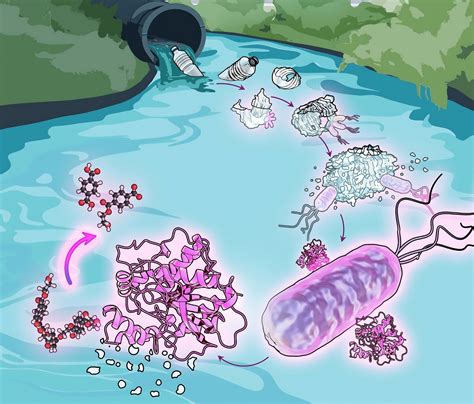 Plastic-Eating Bacteria Discovered in Urban Waterways
