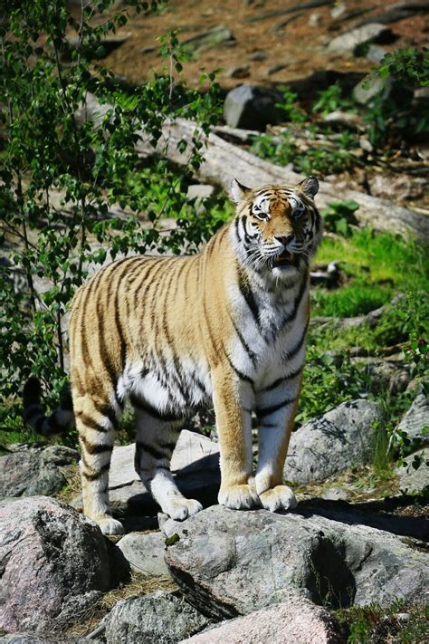 KOLMÅRDEN ZOO (2026) All You Need to Know BEFORE You Go (with Reviews ...