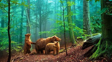 Forest Animals Wallpapers - Wallpaper Cave