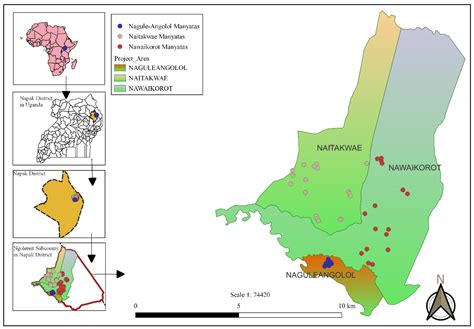 Prevalence and Infection Intensity of Human and Animal Tungiasis in ...