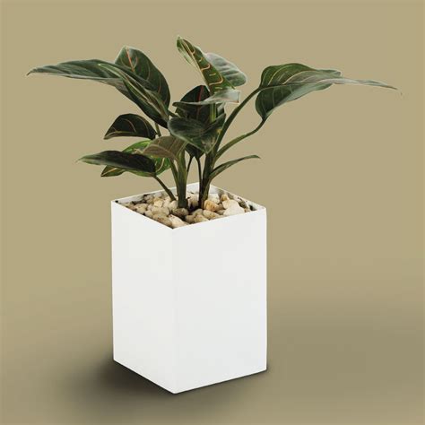 Rectangular Planter Box 的图像结果