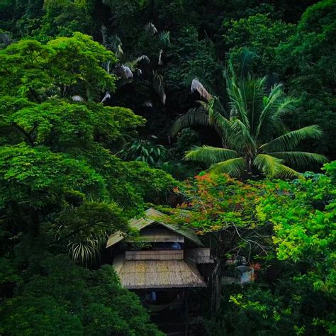 FINCA EXOTICA ECOLODGE (Carate) - Lodge Reviews, Photos, Rate ...