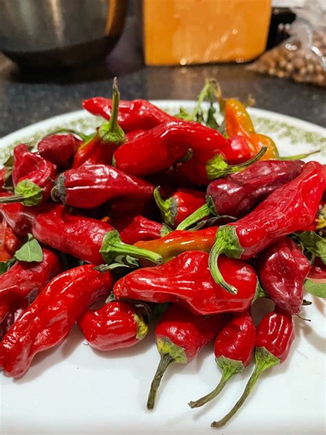 Pepperoncini - Pepper Seeds - Heirloom Mild Chili Pepper - 10+ Seeds ...