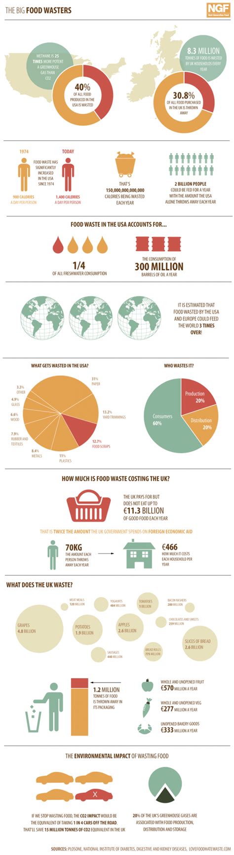Image result for Food Waste Infographic