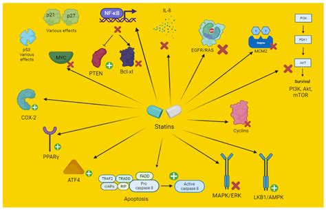 Effect of Statins on Lung Cancer Molecular Pathways: A Possible ...