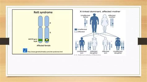 Genetic basis of epilepsy | PPTX